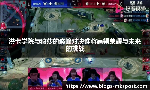 MK体育网址